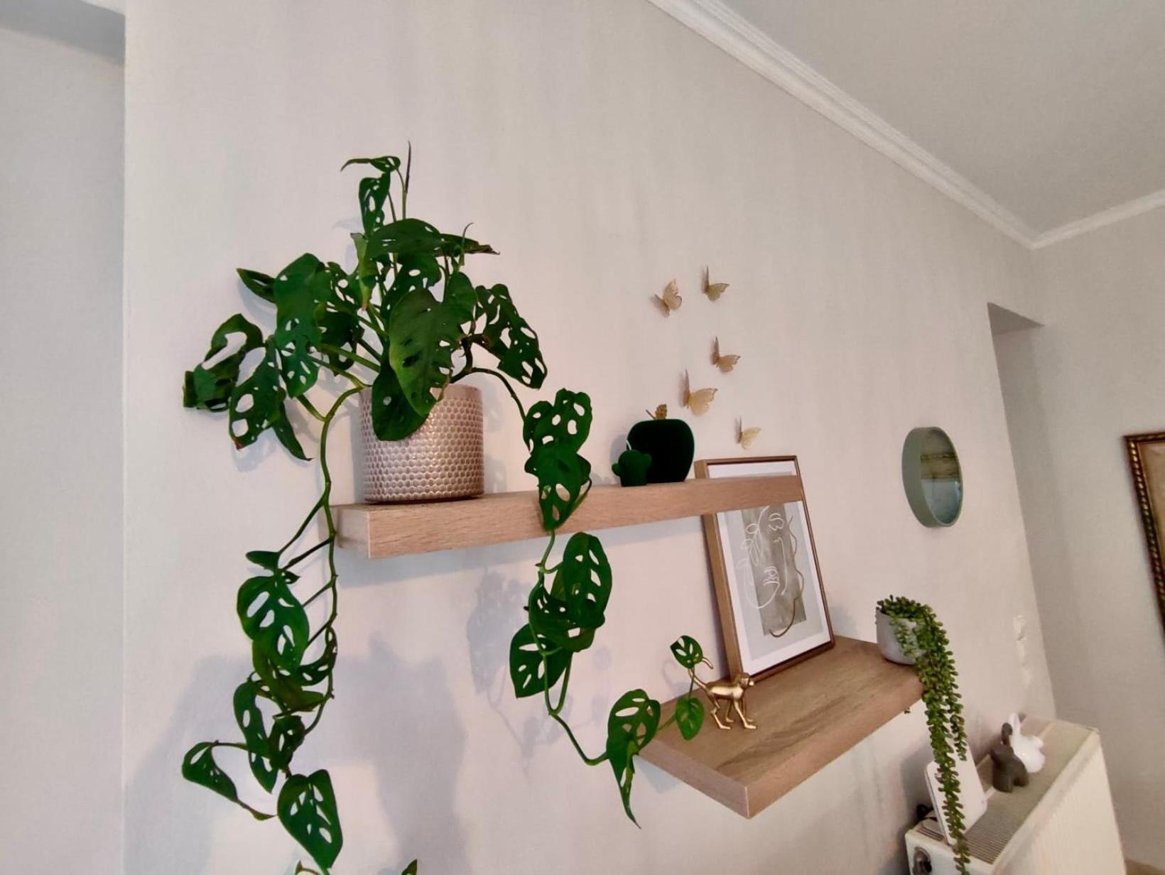Tzitzifianaki Cozy Apartment 干尼亞 外观 照片